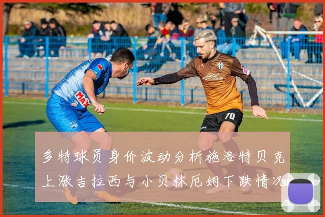 多特球员身价波动分析施洛特贝克上涨吉拉西与小贝林厄姆下跌情况解读